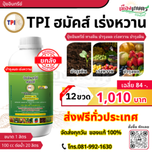 (ยกลัง) TPI ปุ๋ยเขียว ฮมัคส์ 1 ลิตร เร่งหวาน X12