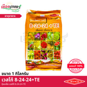(ยกลัง) เวสโก้ ปุ๋ยเกล็ด 8-24-24+TE 1 กิโลกรัม X25