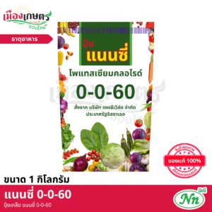 (ยกลัง) แนนซี่ ปุ๋ยเกล็ด 0-0-60 1 กิโลกรัม X40