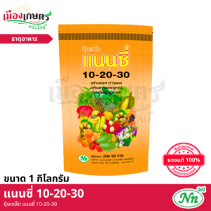 (ยกลัง) แนนซี่ ปุ๋ยเกล็ด 10-20-30 1 กิโลกรัม X40