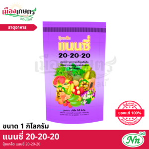 (ยกลัง) แนนซี่ ปุ๋ยเกล็ด 20-20-20 1 กิโลกรัม X40