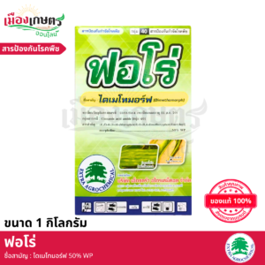 (ยกลัง) ฟอโร่ 1 กิโลกรัม X20