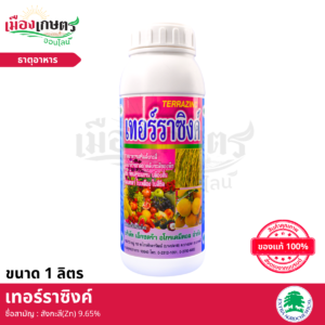(ยกลัง) เทอราซิงค์ 1 ลิตร X12