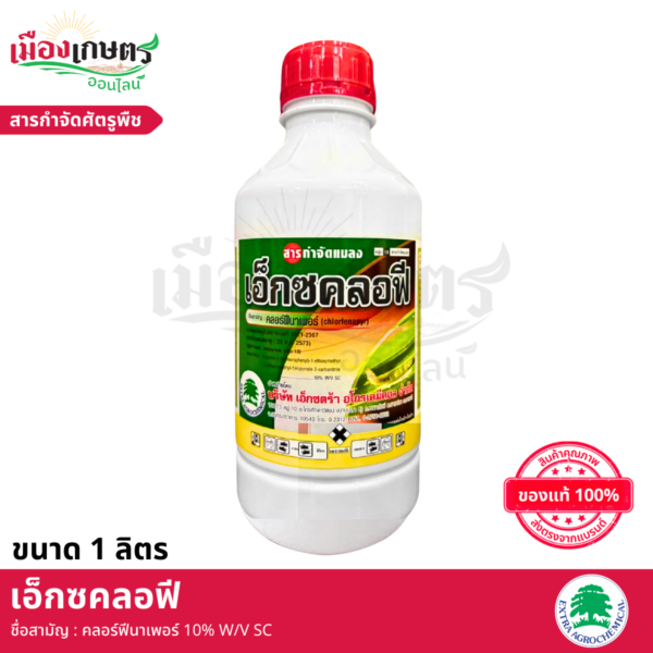 (ยกลัง) เอ็กซคลอฟี 1 ลิตร X12