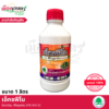 (ยกลัง) เอ็กซฟีโน 1 ลิตร X12