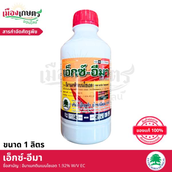 (ยกลัง) เอ็กซอีมา 1 ลิตร X12
