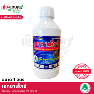 (ยกลัง) เฮ็กซาเอ็กซ 1 ลิตร X12