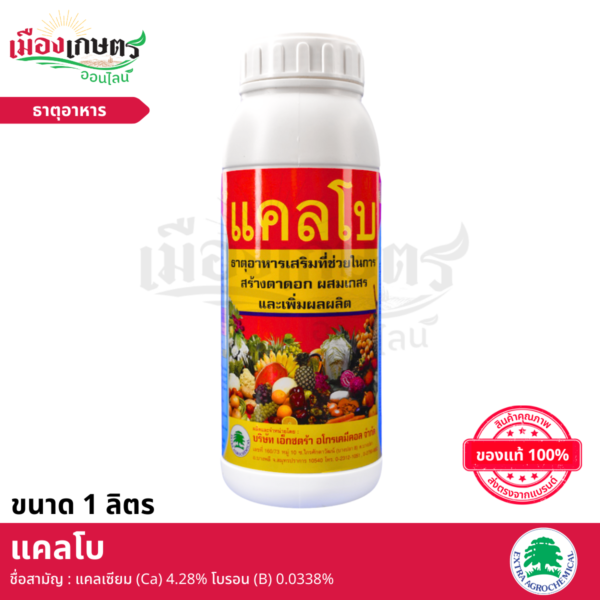 (ยกลัง) แคลโบ 1 ลิตร X12