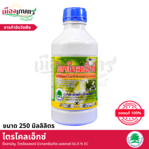 (ยกลัง) ไตรโคลเอ็กซ 250 มิลลิลิตร X24