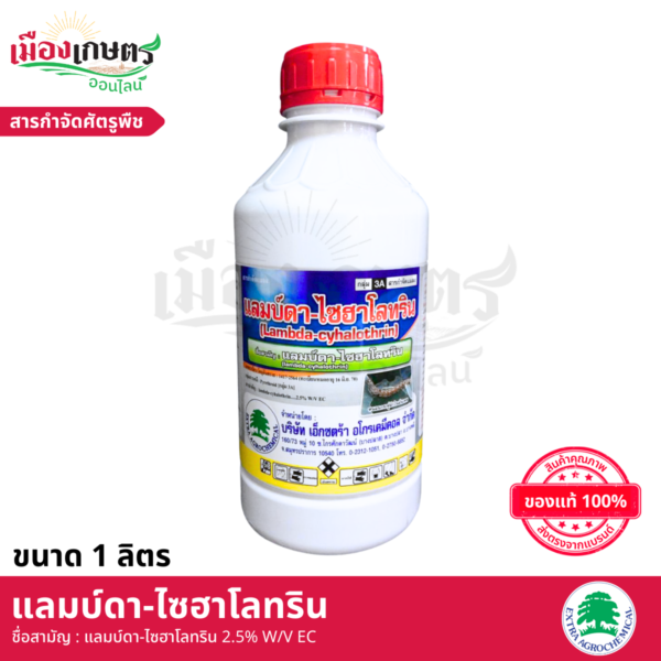 (ยกลัง) แลมบ์ดา 1 ลิตร X12