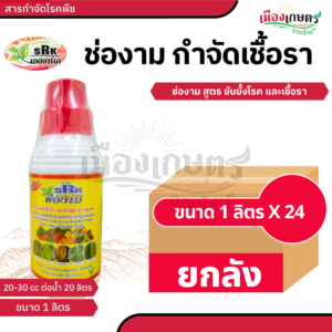 (ยกลัง) ช่องาม กันเชื้อรา 1 ลิตร น้ำเงิน X24