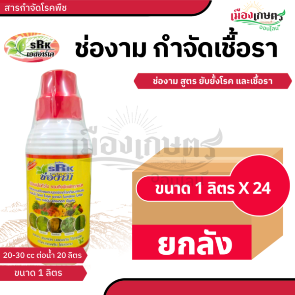 (ยกลัง) ช่องาม กันเชื้อรา 1 ลิตร น้ำเงิน X24