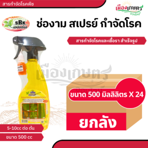 (ยกลัง) ช่องาม สเปรย์ กันเชื้อรา น้ำเงิน X24