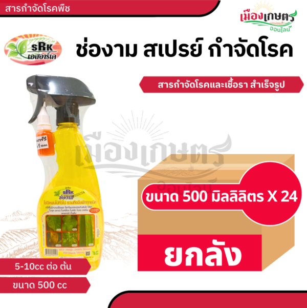 (ยกลัง) ช่องาม สเปรย์ กันเชื้อรา น้ำเงิน X24