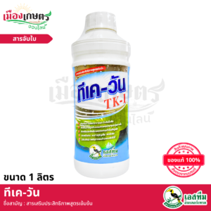 (ยกลัง) ทีเควัน 1 ลิตร X12