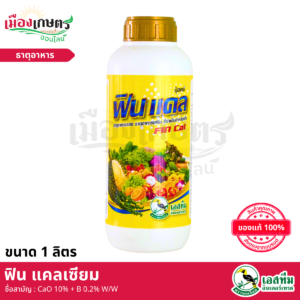 (ยกลัง) ฟิน แคลเซียม 1 ลิตร X12