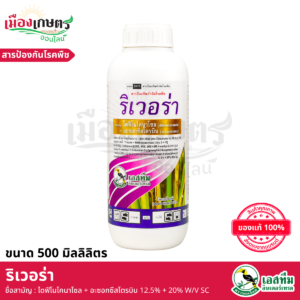 (ยกลัง) ริเวอร่า 500 มิลลิลิตร X12