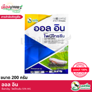 (ยกลัง) ออลอิน 1 กิโลกรัม X10