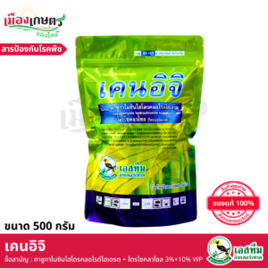 (ยกลัง) เคนอิจิ 500 กรัม X12