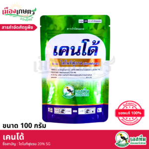 (ยกลัง) เคนโด้ 100 กรัม X60