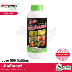 (ยกลัง) แบ็คคัลเลอร์ 500 มิลิลิตร X12