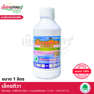 (ยกลัง) เอ็กซติวา 1 ลิตร X12