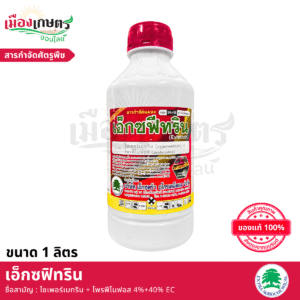 (ยกลัง) เอ็กซตร้า เอ็กซฟีทริน 1 ลิตร X12