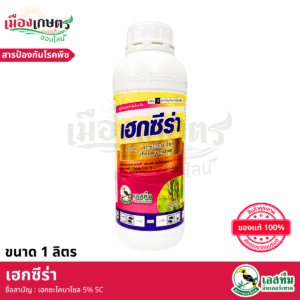 (ยกลัง) เอสทีม เฮกซีร่า 1 ลิตร X12