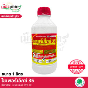 (ยกลัง) เอ็กซตร้า ไซเพอร์เอ็กซ 35 1 ลิตร X12