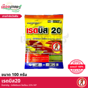 (ยกลัง) เรดบิส20 100 กรัม X100