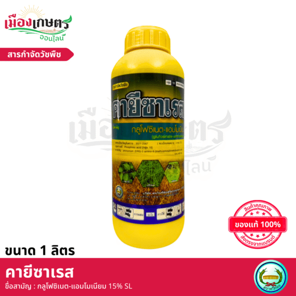 (ยกลัง) หวีทอง คายีซาเรส 4 ลิตร X6 - Image 2