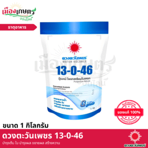 (ยกลัง) ดวงตะวันเพชร 13-0-46 1 กิโลกรัม X24