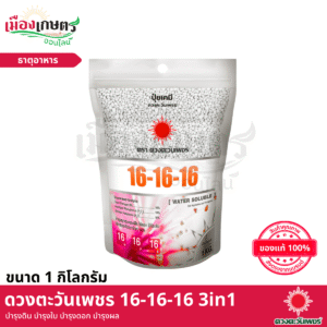(ยกลัง) ดวงตะวันเพชร 16-16-16 3in1 1 กิโลกรัม X24
