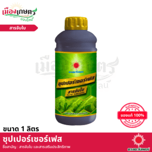 (ยกลัง) ดวงตะวันเพชร ซุปเปอร์เซอร์เฟส 1 ลิตร X12