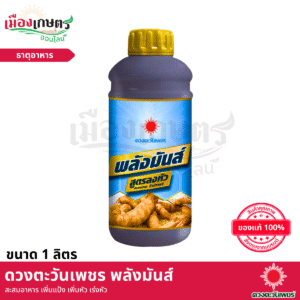 (ยกลัง) ดวงตะวันเพชร พลังมันส์ 1 ลิตร X12