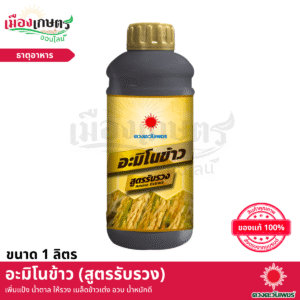 (ยกลัง) ดวงตะวันเพชร อะมิโนข้าว (สูตรรับรวง) 1 ลิตร X12