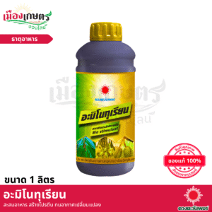 (ยกลัง) ดวงตะวันเพชร อะมิโนทุเรียน 1 ลิตร X12
