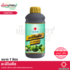 (ยกลัง) ดวงตะวันเพชร อะมิโนพืช 1 ลิตร X12