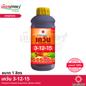 (ยกลัง) ดวงตะวันเพชร เควัน 3-12-15 1 ลิตร X12