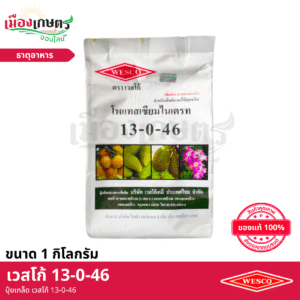 (ยกกระสอบ) เวสโก้ ปุ๋ยเกล็ด 13-0-46 1 กิโลกรัม X25
