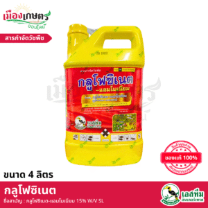 (ยกลัง) เอสทีม กลูโฟซิเนต 4 ลิตร X6 เหลือง