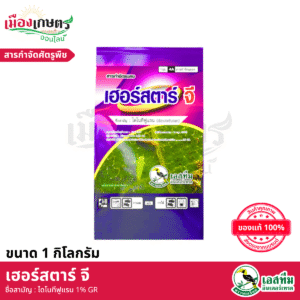 (ยกลัง) เอสทีม เฮอร์สตาร์ จี 1 กิโลกรัม X20