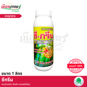 (ยกลัง) เอ็กซตร้า ซีกรีน 1 ลิตร X12