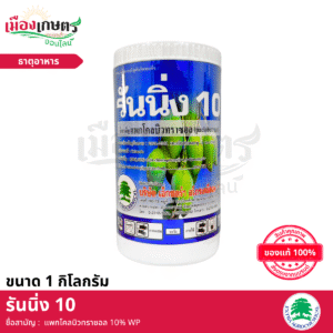 (ยกลัง) เอ็กซตร้า รันนิ่ง10 1 กิโลกรัม X12