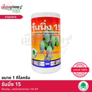(ยกลัง) เอ็กซตร้า รันนิ่ง15 1 กิโลกรัม X12