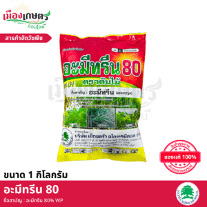 (ยกลัง) เอ็กซตร้า อะมีทรีน ผง 1 กิโลกรัม X12