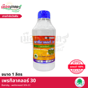 (ยกลัง) เอ็กซตร้า เพรทิลาคลอร์ 1 ลิตร X12