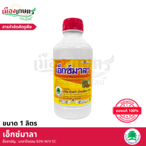 (ยกลัง) เอ็กซตร้า เอ็กซมาลา 1 ลิตร X12