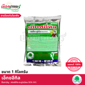 (ยกลัง) เอ็กซตร้า เอ็กซอีทิล 1 กิโลกรัม X12