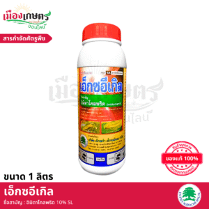 (ยกลัง) เอ็กซตร้า เอ็กซอีเกิล 1 ลิตร X12